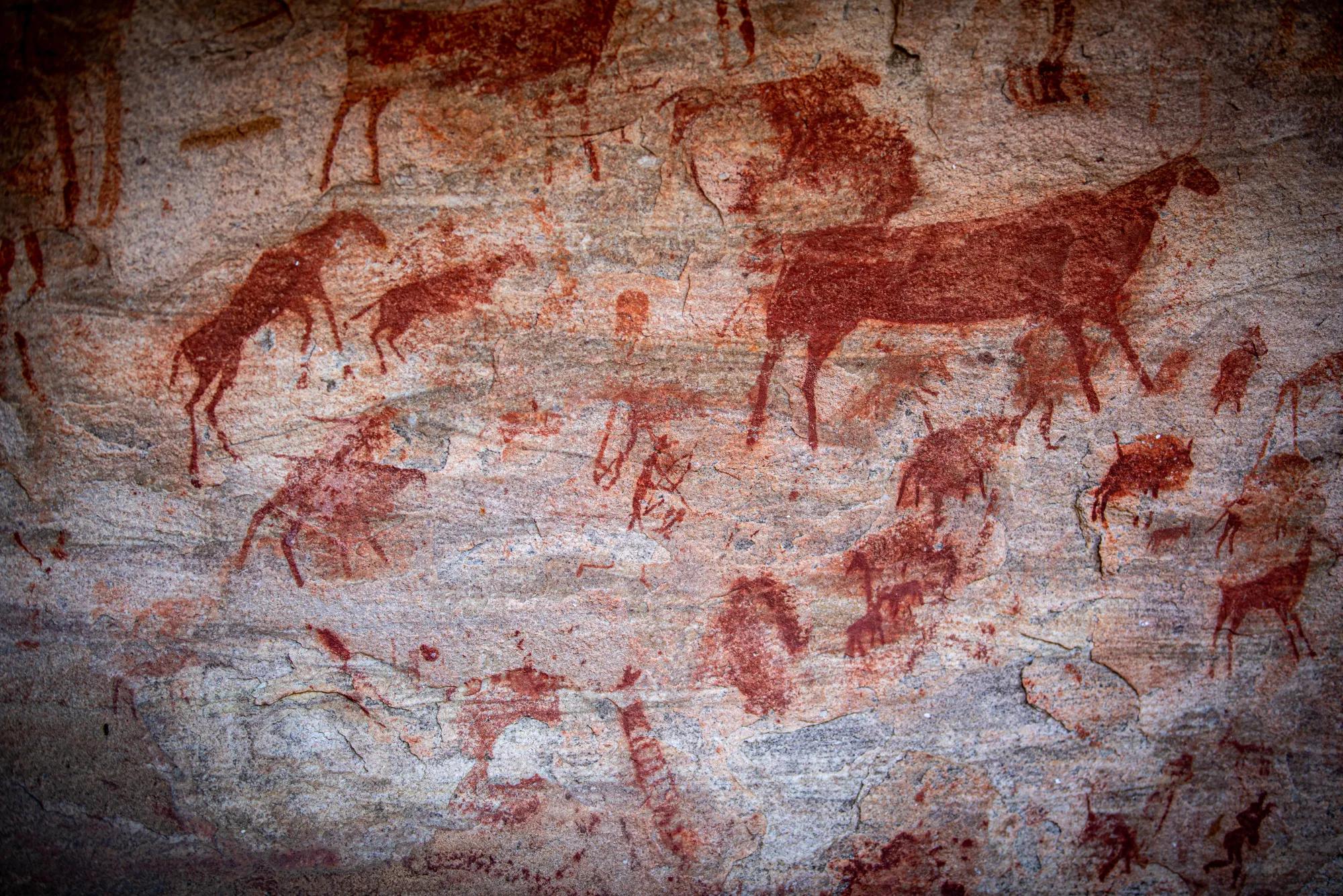 Cederberg Wilderness Area