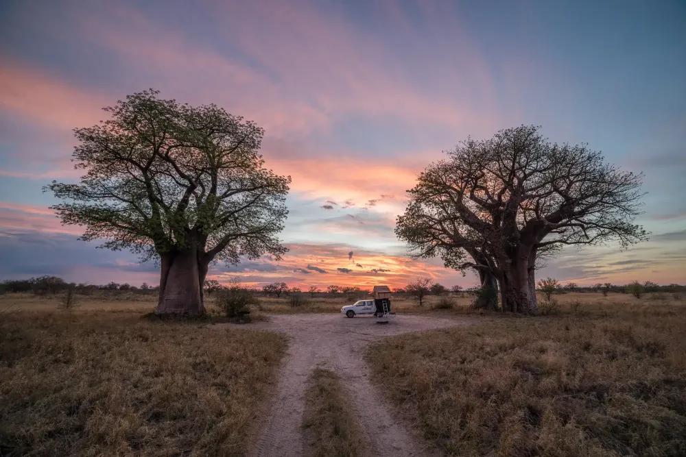 Cover for Unveiling the Serene Wilderness: Remote Campsites in South Africa