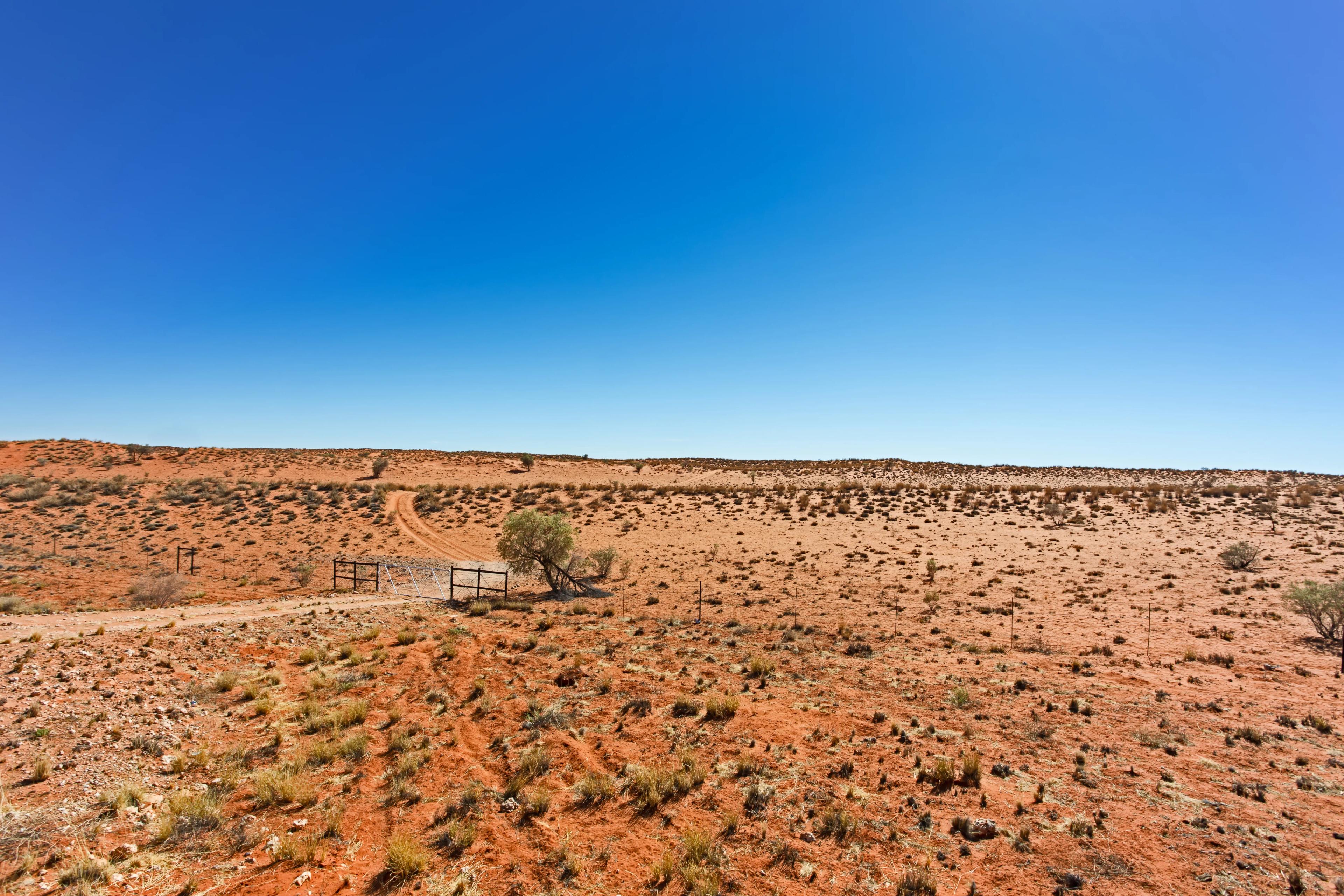 karoo lanscape