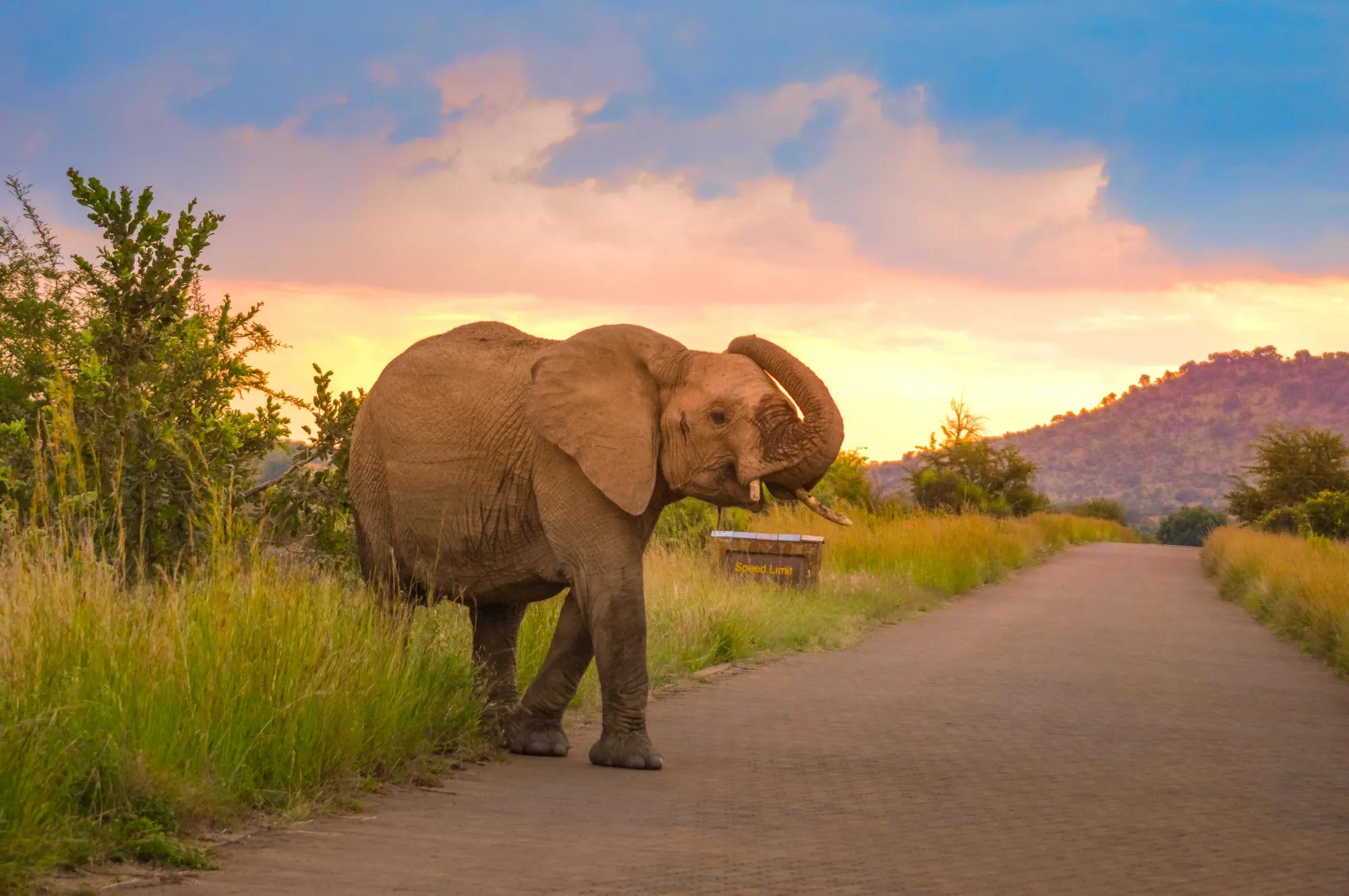 Kruger National Park