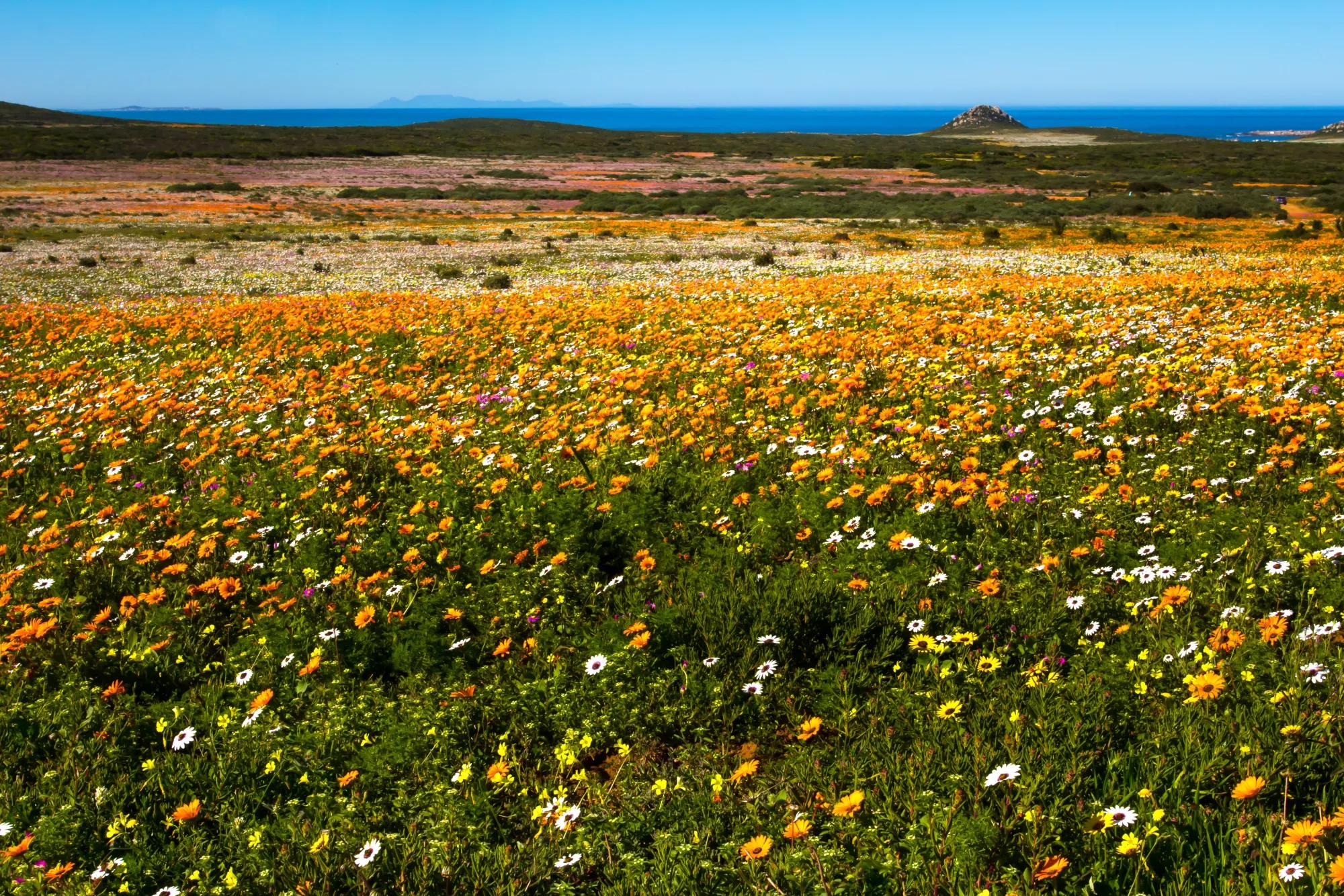 West Coast National Park